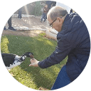 Virgilio Cantero profile picture