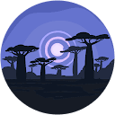 Nomy canales profile picture