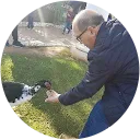 Virgilio Cantero profile picture