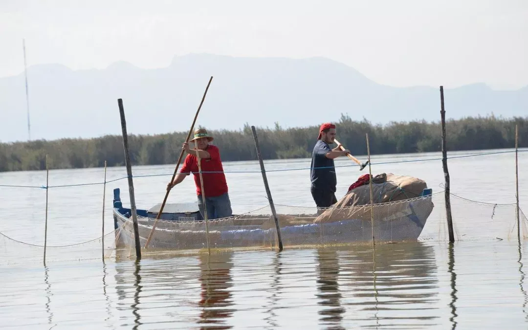La ruta hacia una sonrisa radiante en la Albufera