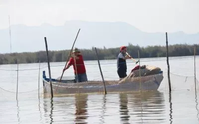La ruta hacia una sonrisa radiante en la Albufera